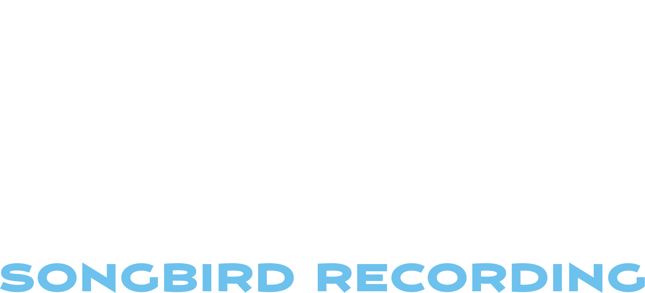Songbird Recording